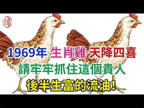 1969年屬雞運勢|【1969生肖雞】1969年生肖雞2023流年運勢完整解析！54歲屬雞。